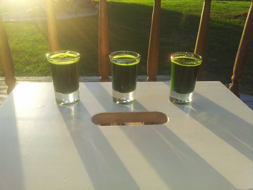 Trudy&s;s Organic Wheatgrass - Logo