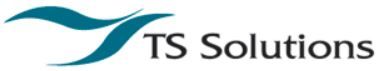 TS Executive Computer Services Inc - Logo