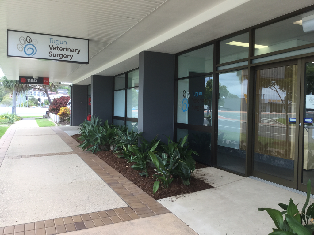 Tugun Veterinary Surgery - Logo