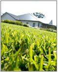 Turf Central - Logo