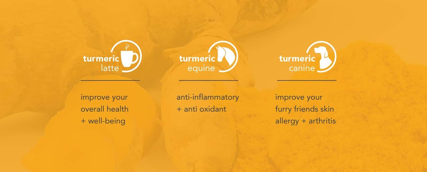 Turmeric Direct - Cover photo