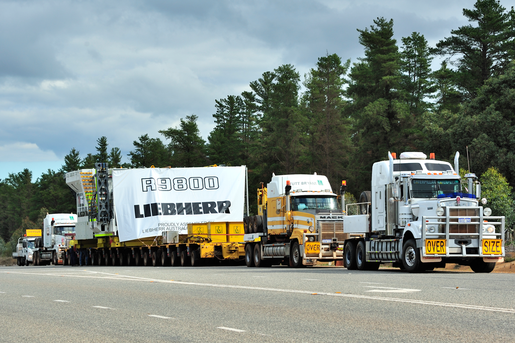 Tutt Bryant Heavy Lift & Shift - Logo