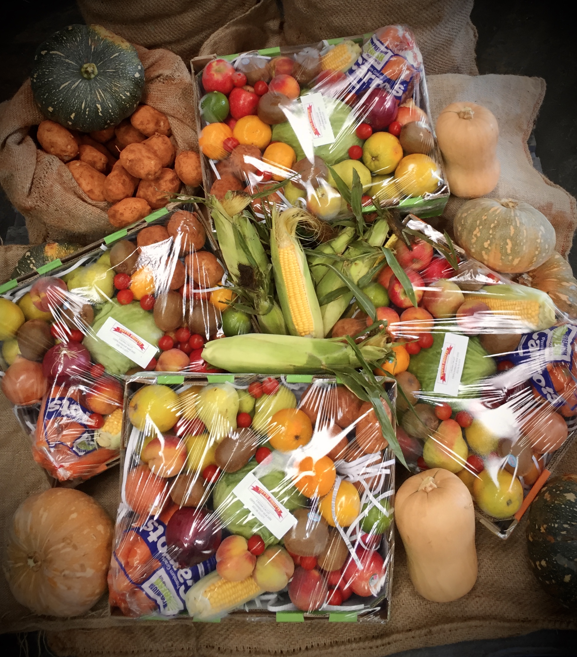 Tutti Frutti Wholesale - Cover photo