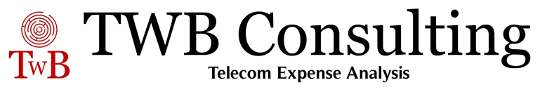 TWB Consulting - Logo