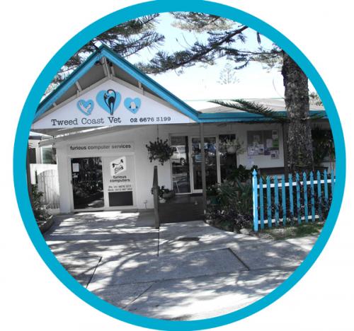 Tweed Coast Vet - Cover photo