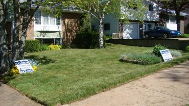 Tylomar Landscaping Inc. - Cover photo