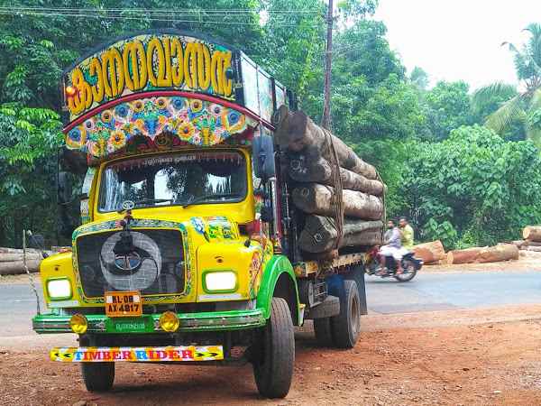 Typical Teak - Cover photo