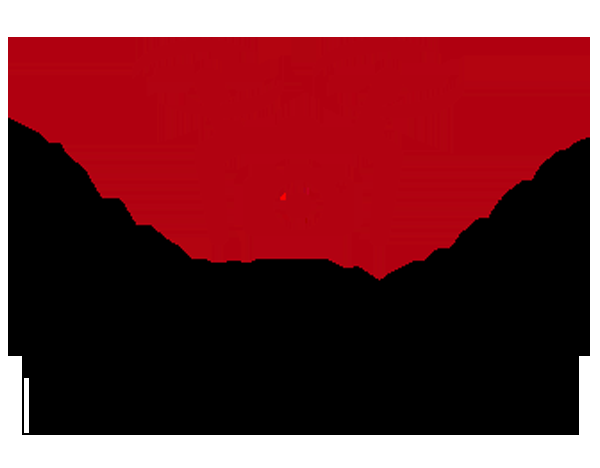 UAV Tower Innovations Inc. - Logo