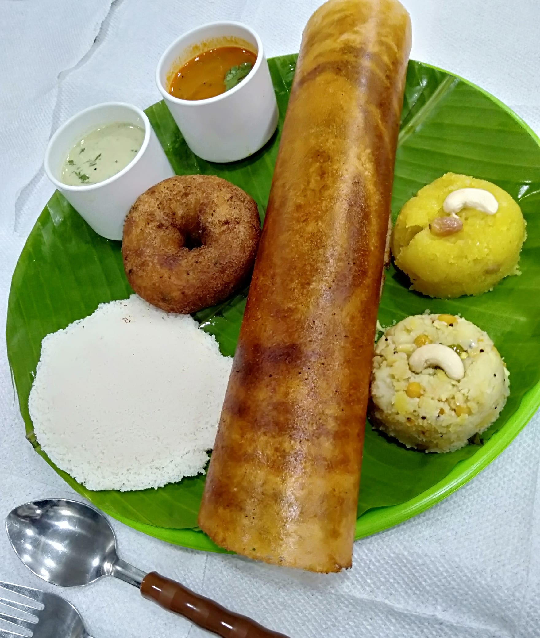 Udupi Shanthi Sagar - Logo