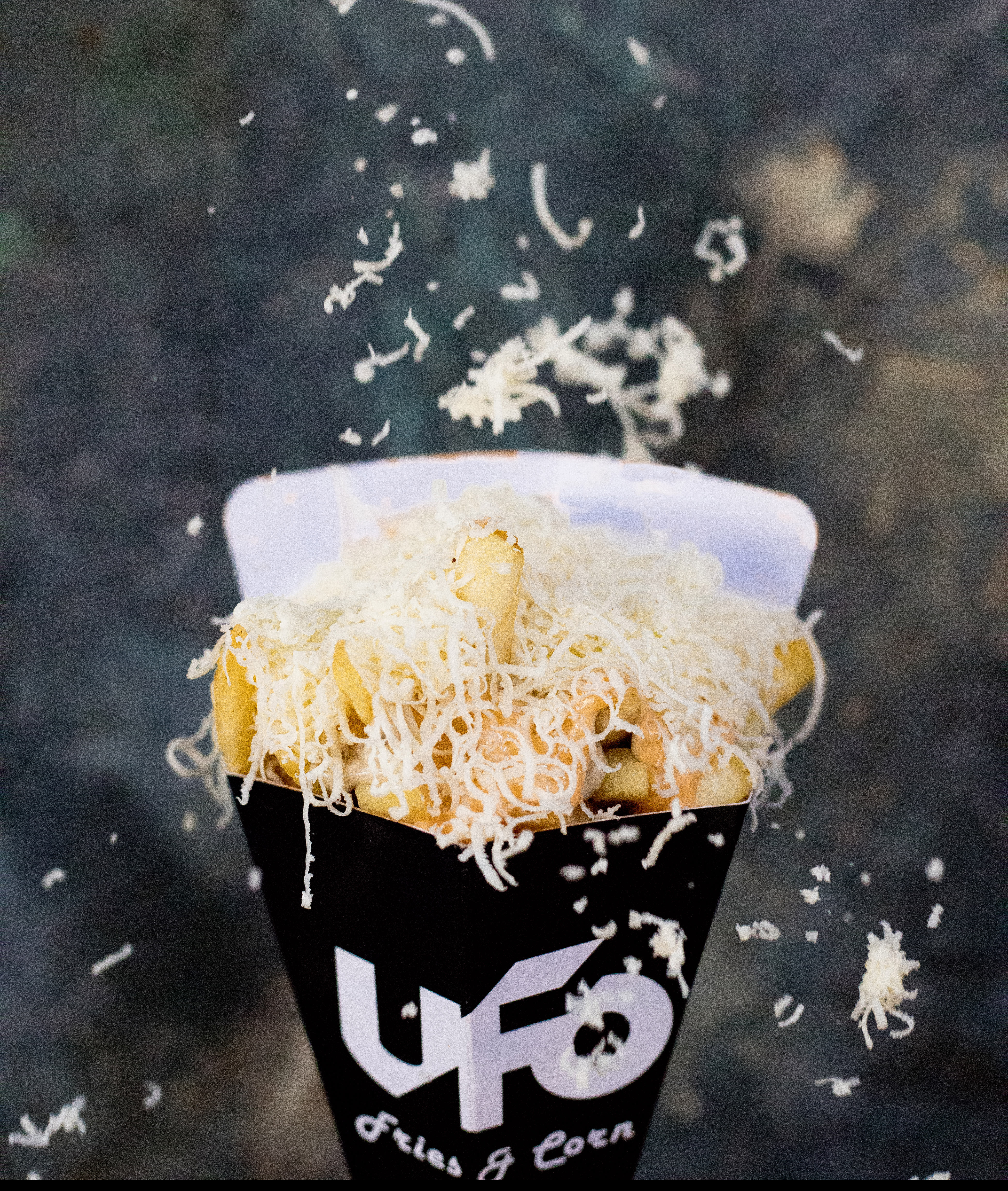 UFO Fries & Corn - Logo
