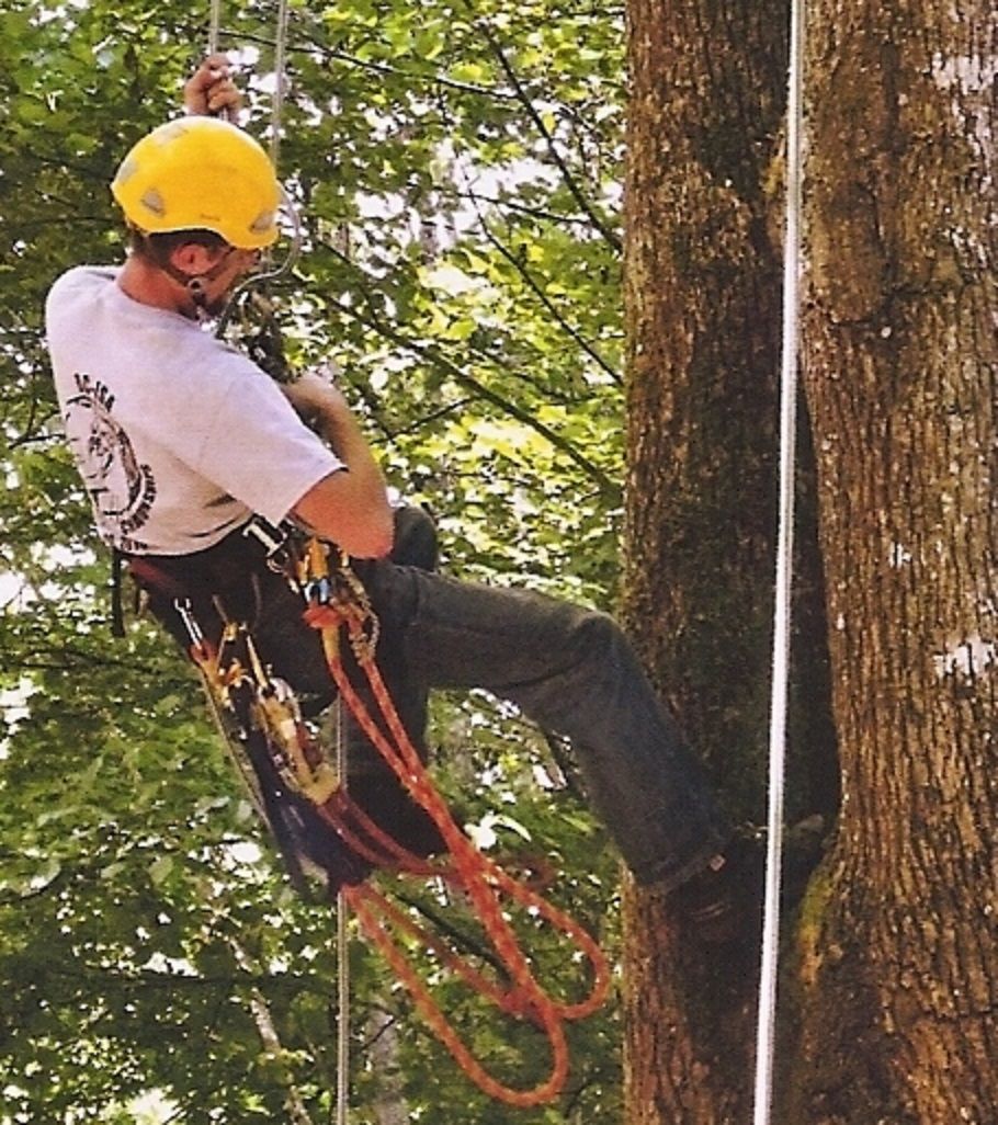 UHLS Tree Service - Logo