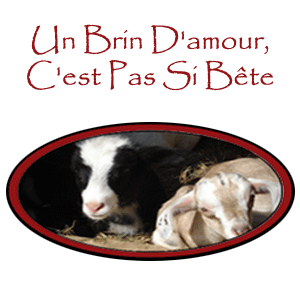 Un Brin D&s;amour, C&s;est Pas Si Bête - Logo