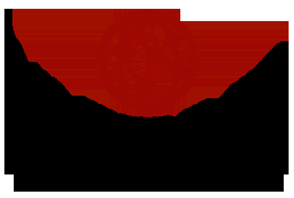 Unifund Network Services - Logo