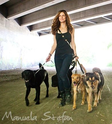 Urban Dog Walks - Logo