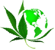 Urban Earth Med - Cover photo