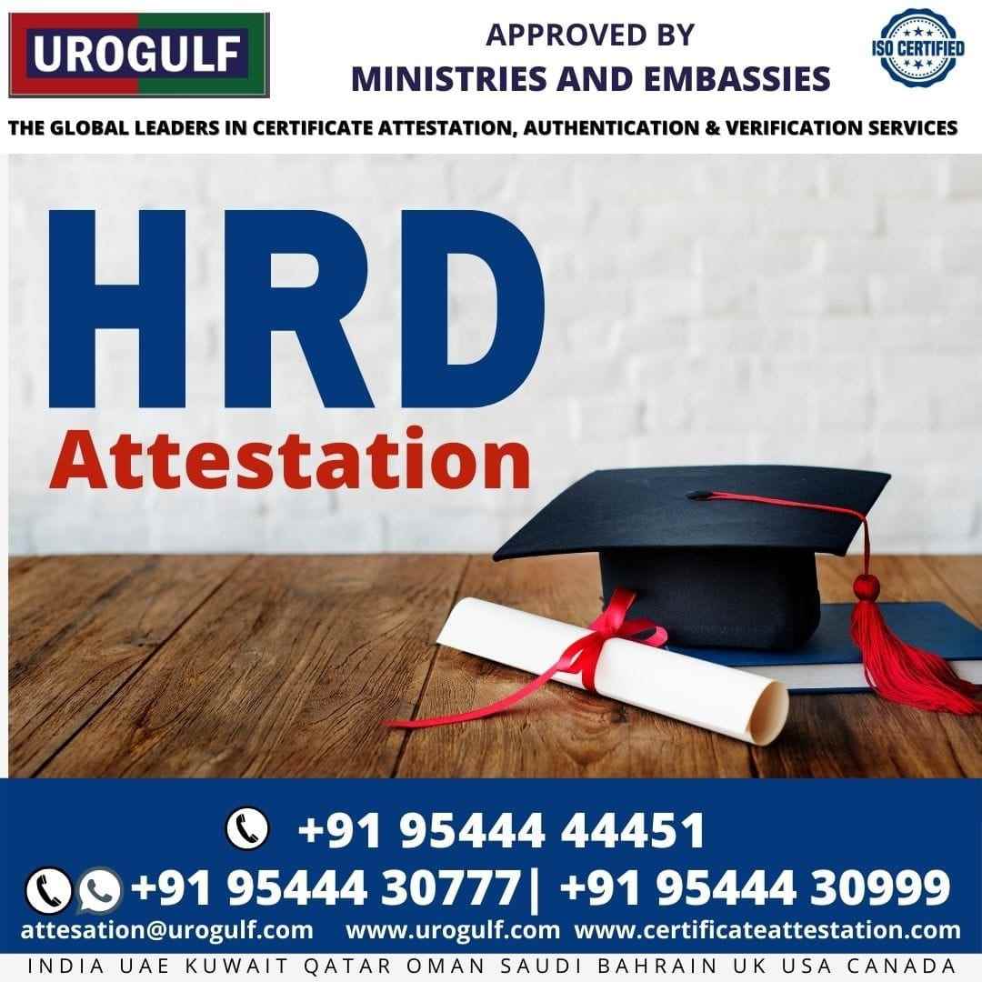 Urogulf Global Service - Cover photo