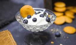 Vadilal Icecream - Logo