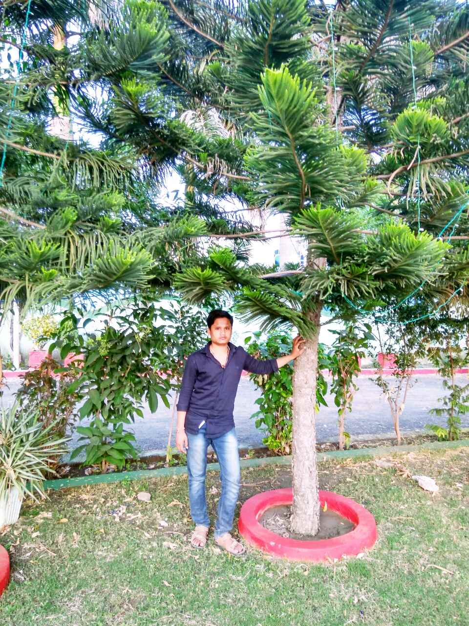 Vaibhav Thakur Pvt Ltd - Cover photo
