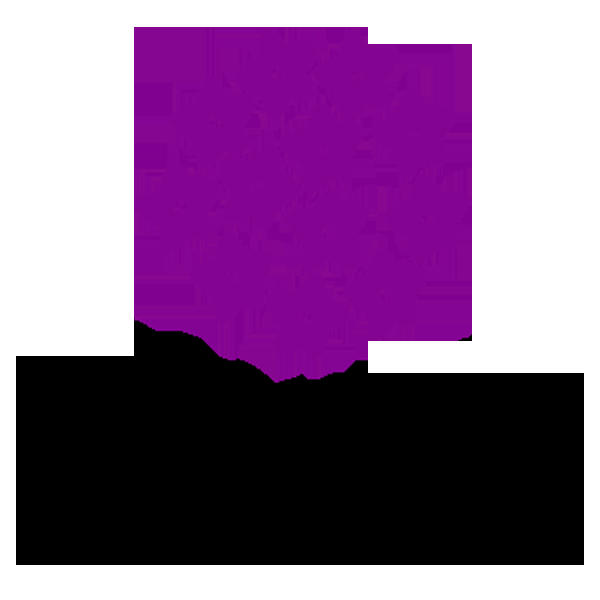 Valentino Florist - Logo