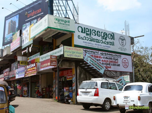 Vallabhassery Homeopathy Clinic - Logo