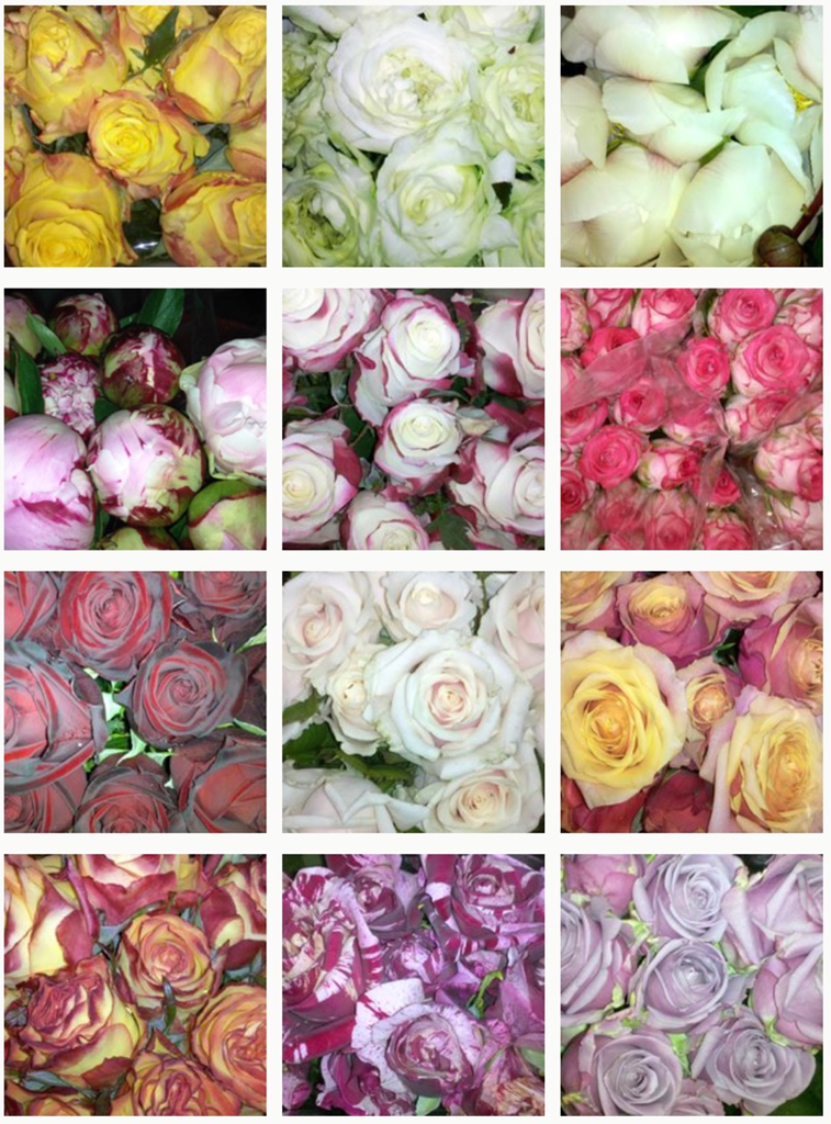 Valley Fresh Flowers - Logo