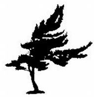 Valley Property Shop Limited - Logo