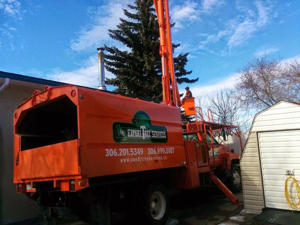 V and J Tree services - Logo