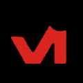 Vani Impex 280478 - Logo