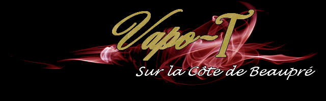 Vapo-T - Logo