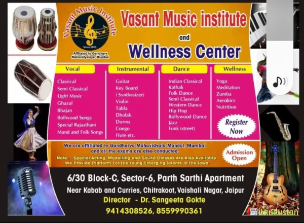 Vasant Music Institute & Wellness Center - Logo