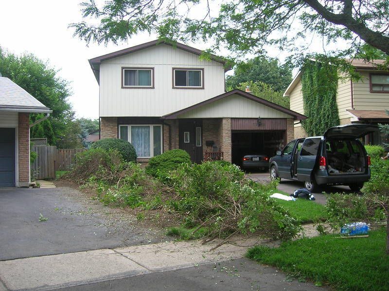 Vaughan Grass Cutting - Cover photo
