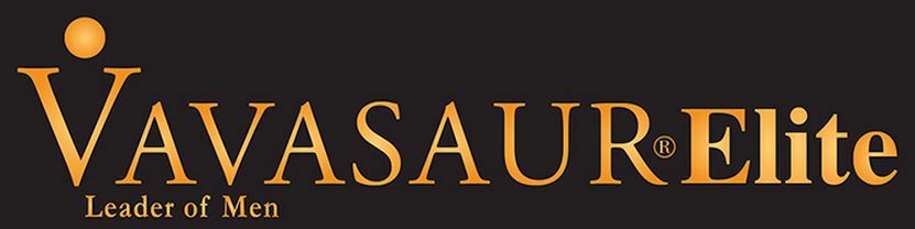 Vavasaur Cad Epay - Logo