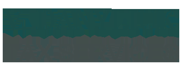 V. Danyliuk Tax Services - Logo