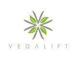 Vedalift - Logo