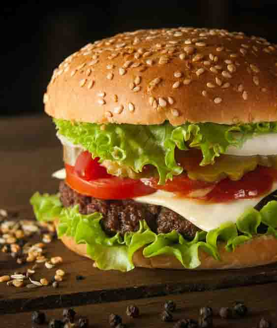 Veer Ji Burger Wale - Logo