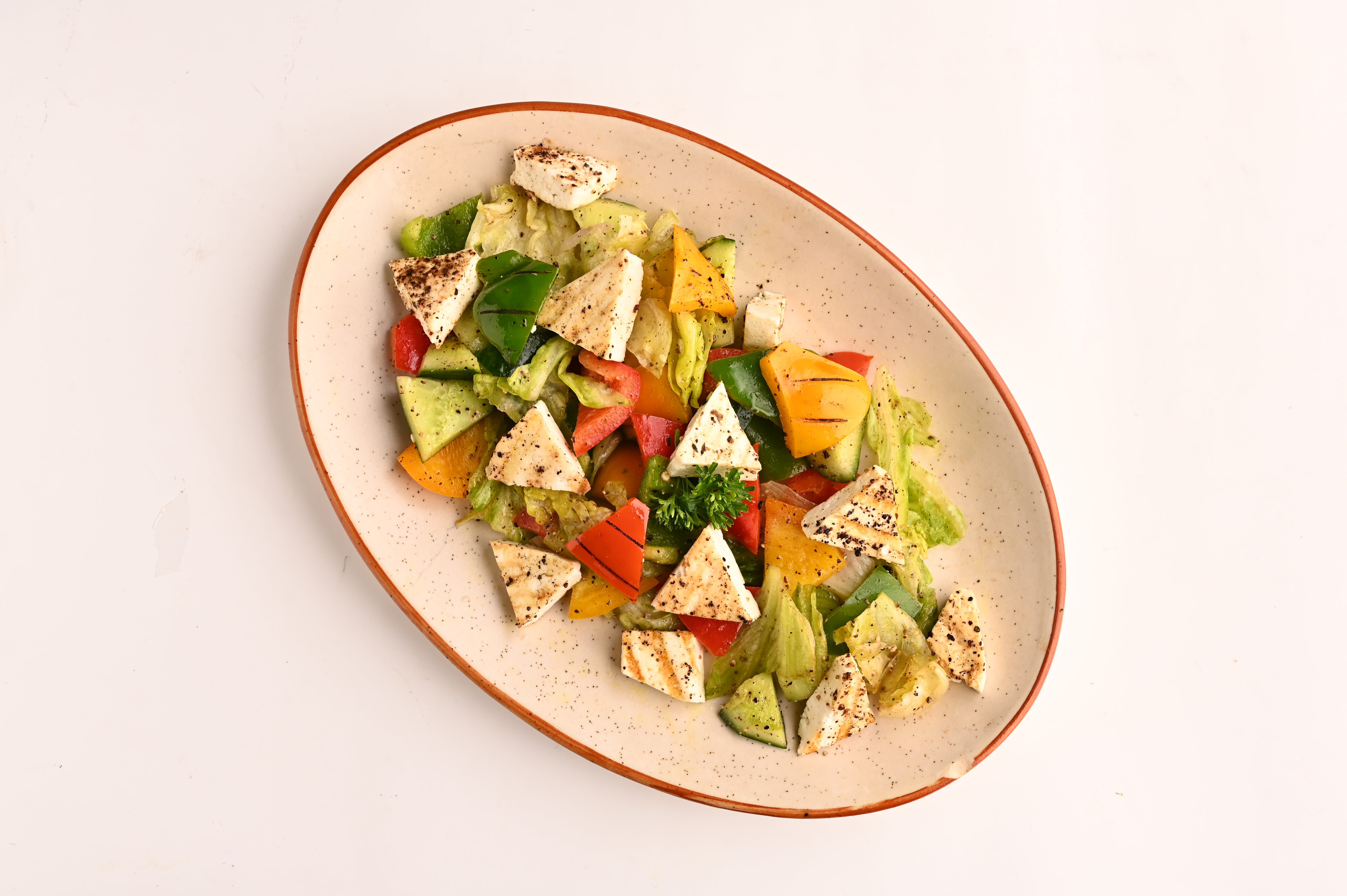 Veg Salad Company - Logo