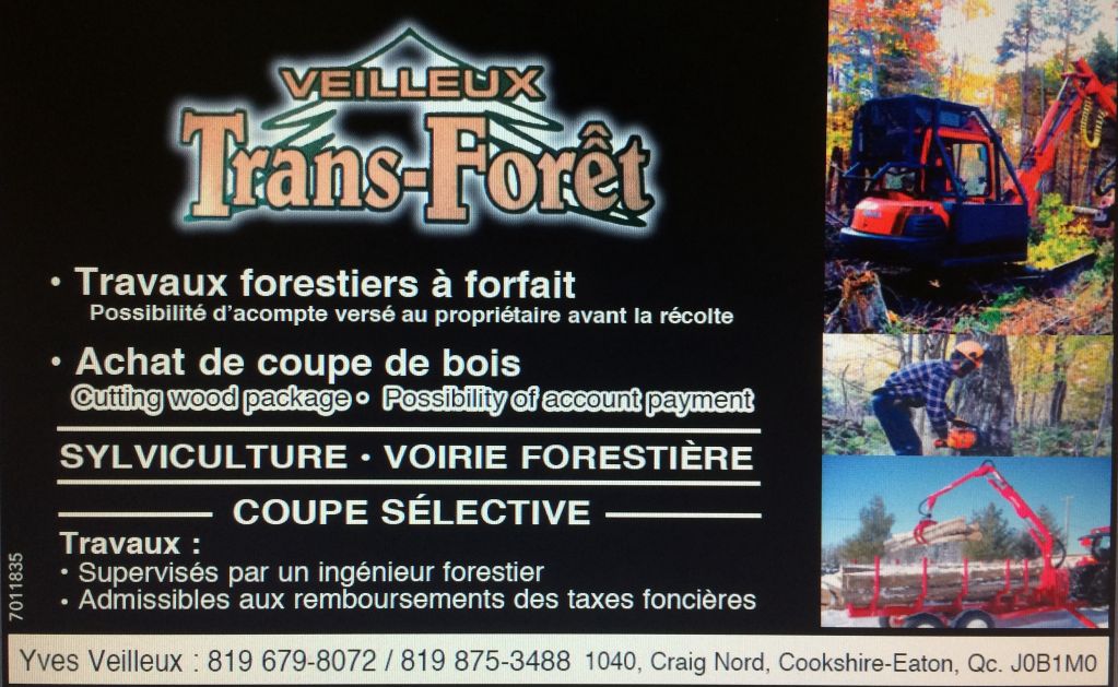 Veilleux trans-forêt inc - Logo