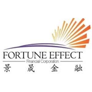 Verico Fortune Effect Financial Corporation - Logo