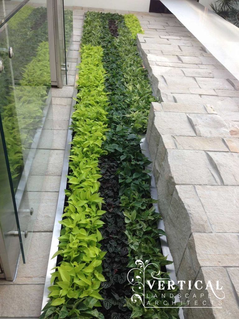 Vertical Landscape Architects Inc - Logo