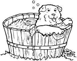Very Important Pets Boarding Kennel &a; Grooming Salon - Cover photo
