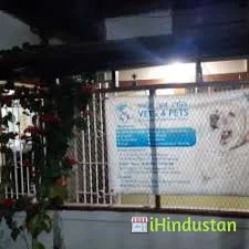 Vets 4 Pets - Logo