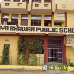 Vidhya Bhawan public senior secondary school - Logo
