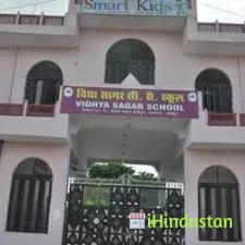 VIDHYA SAGAR SENIOR SECONDARY SCHOOL - Logo