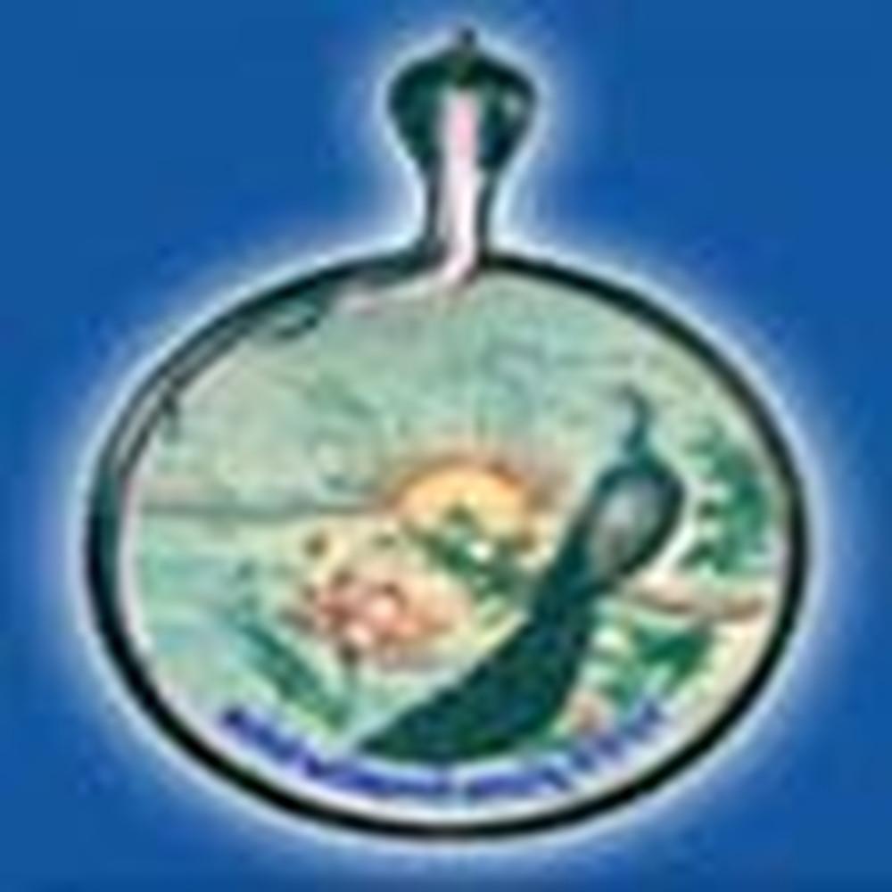 VIdya Bhawan Rural Institute (VBRI UDAIPUR) - Logo