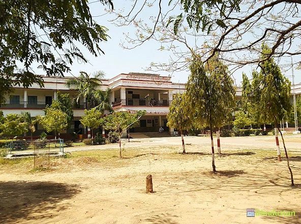 Vidya Dham Higher Secondary School - Logo