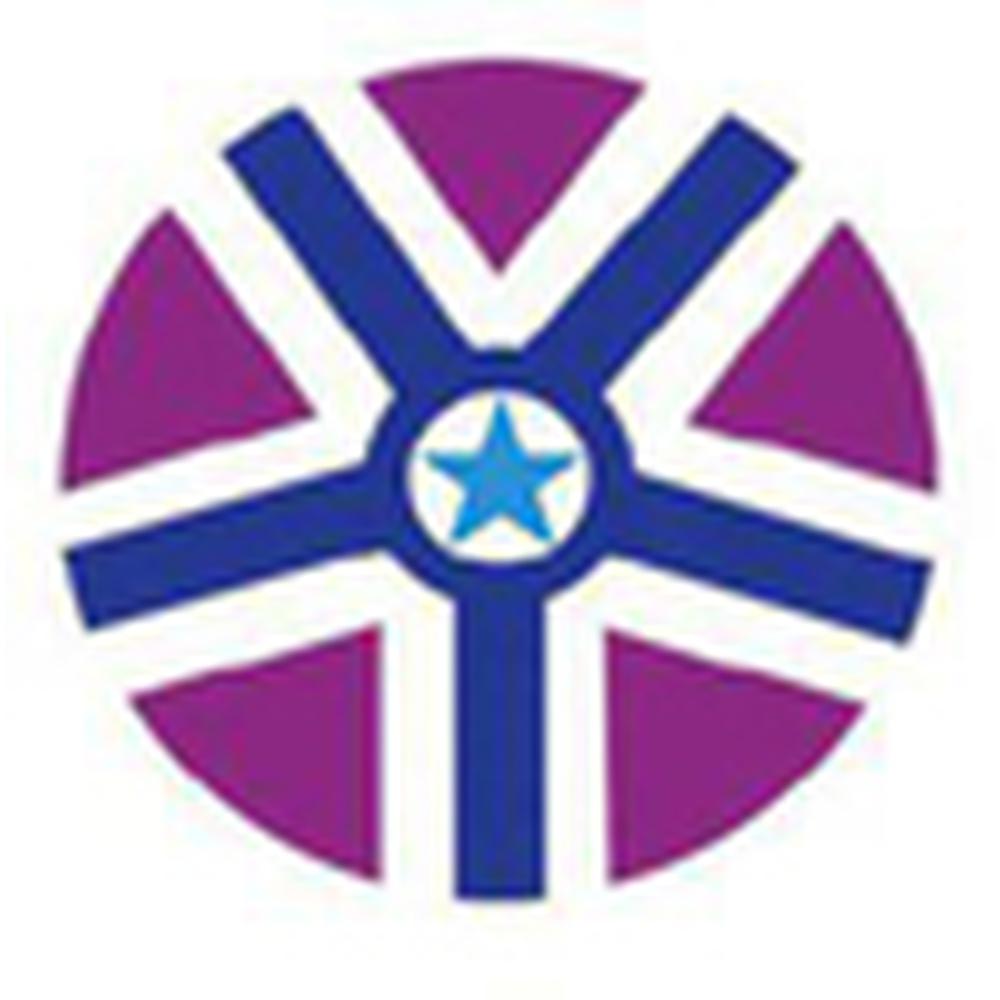 Vignan's Institute of Technology & Aeronautical Engineering (VITAE) - Logo