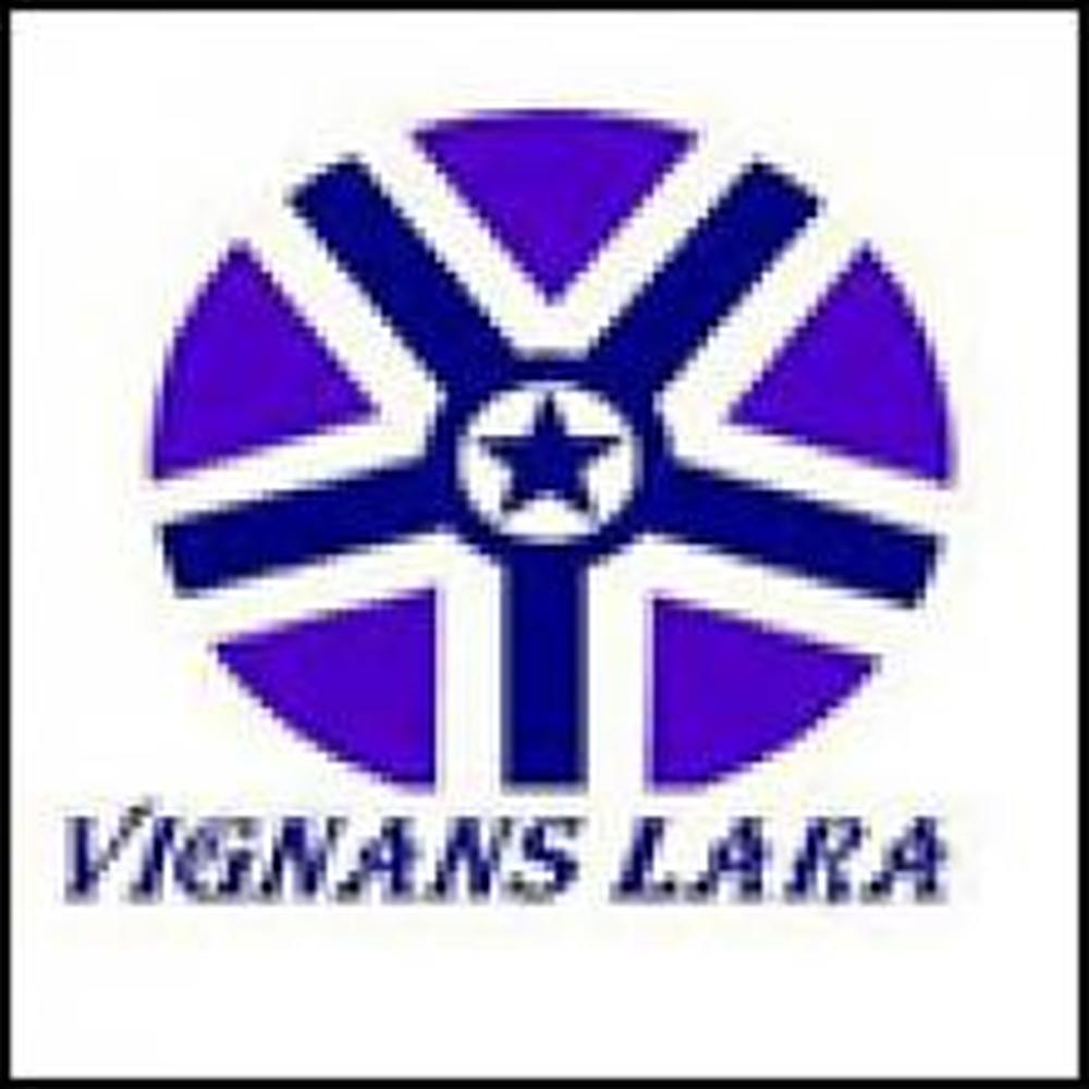 Vignan's LARA Institute of Technology & Science (VLITS) - Logo