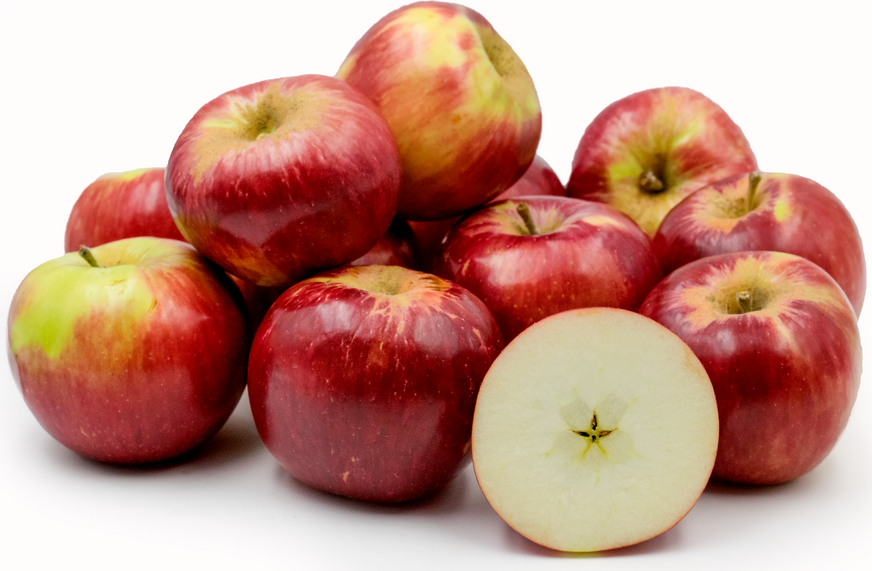 Vijaya Fruits - Cover photo