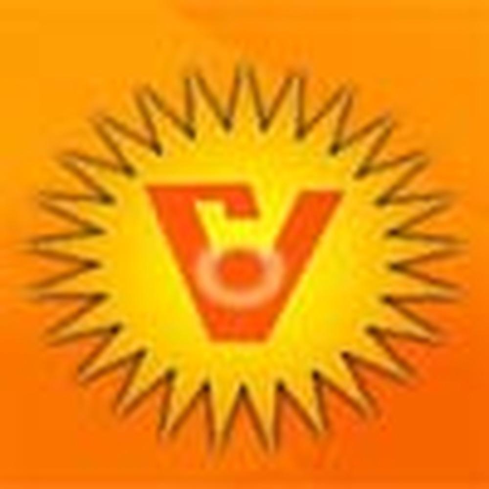 Vijayshree Education Institute (VEI) - Logo