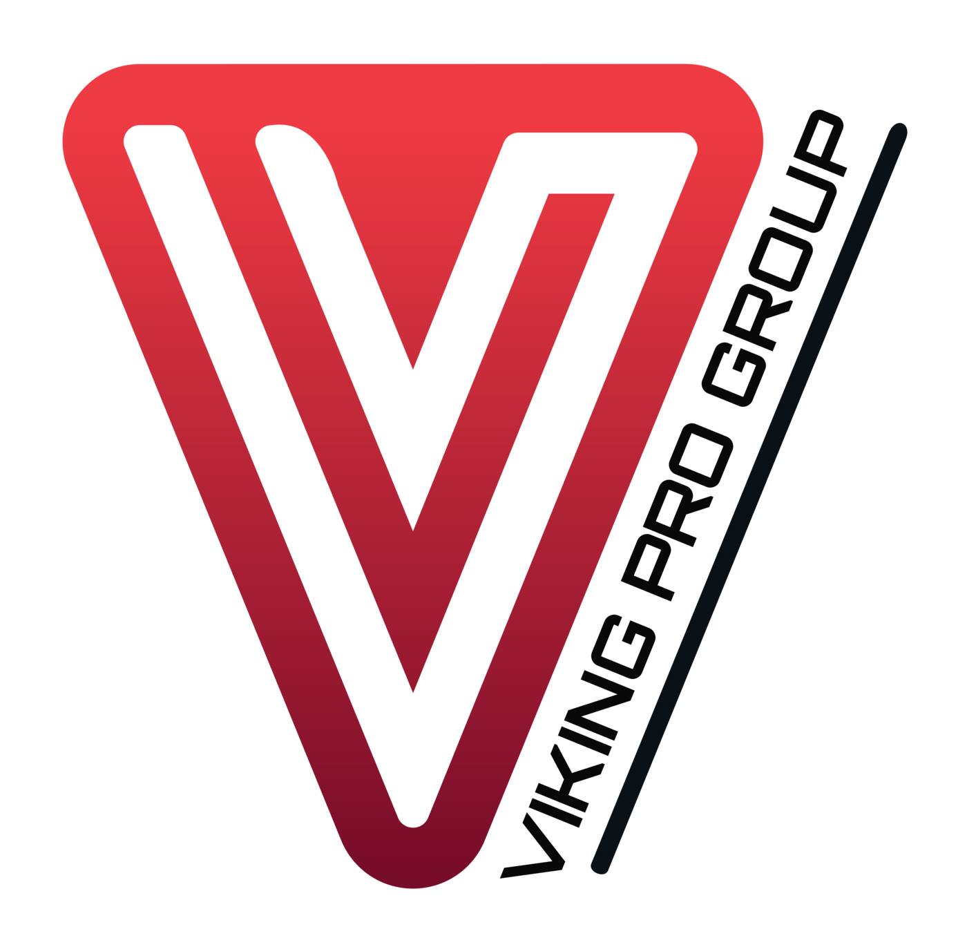 Viking Pro Group - Logo